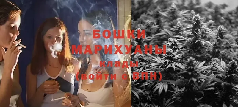 Каннабис White Widow  Алзамай 